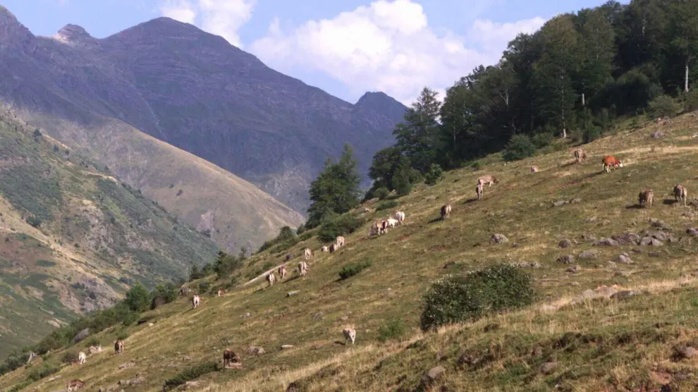 El precioso paisaje del Valle de Hecho, en el Pirineo oscense
