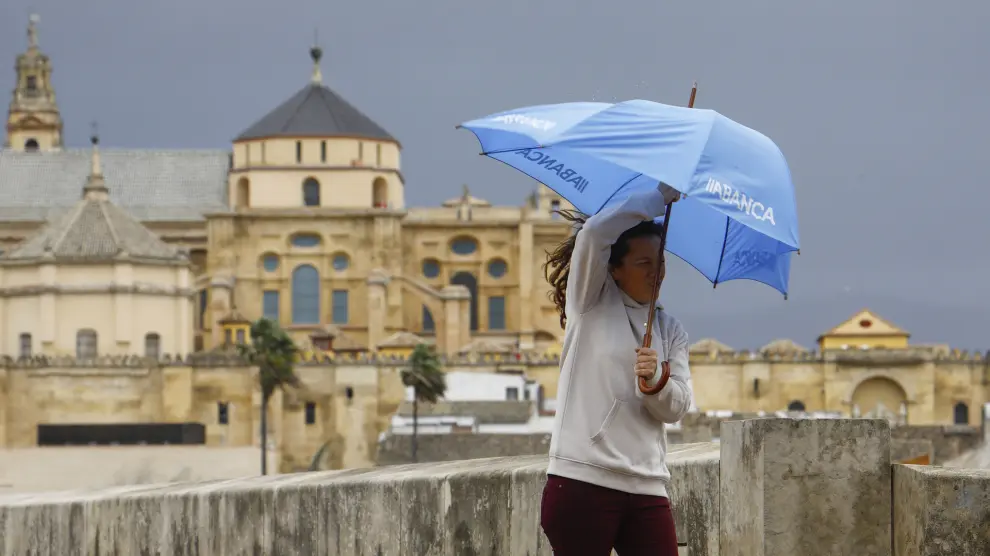 CÓRDOBA, 17/01/2024.-Una persona sostiene su paraguas contra el viento en Córdoba este miércoles. Las lluvias y los fuertes vientos caracterizarán la jornada de mañana jueves, con trece comunidades en alerta por la presencia de la borrasca Irene, que afecta a la Península y Baleares, según las previsiones de la Agencia Estatal de Meteorología (Aemet).- EFE/ Salas