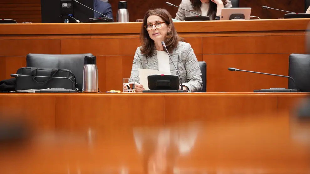 La directora de Financiación y Fondos Europeos, Isabel Martín-Retortillo, este lunes en las Cortes.