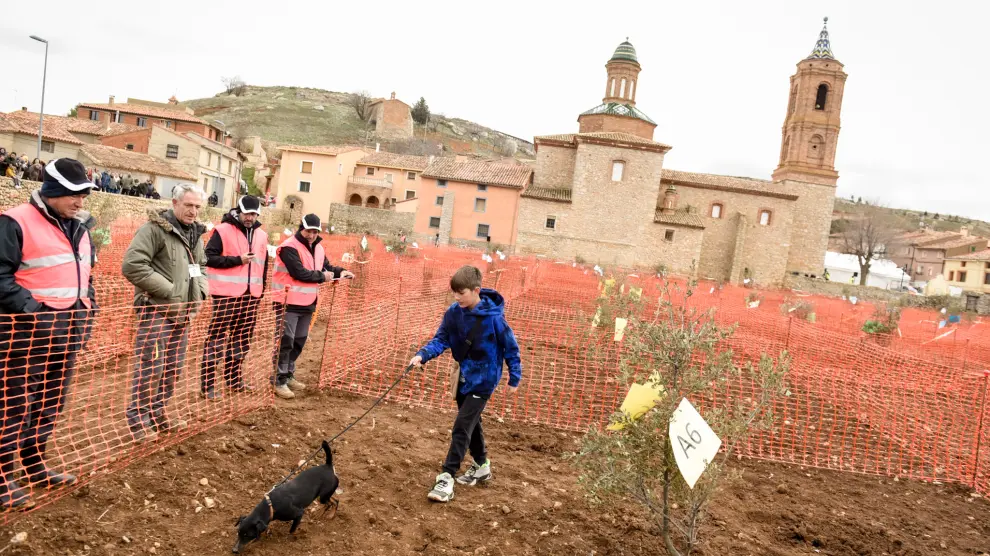 Concurso Nacional de Caza de Trufa de la Comarca Campo de Daroca: competición infantil en Villarroya del Campo