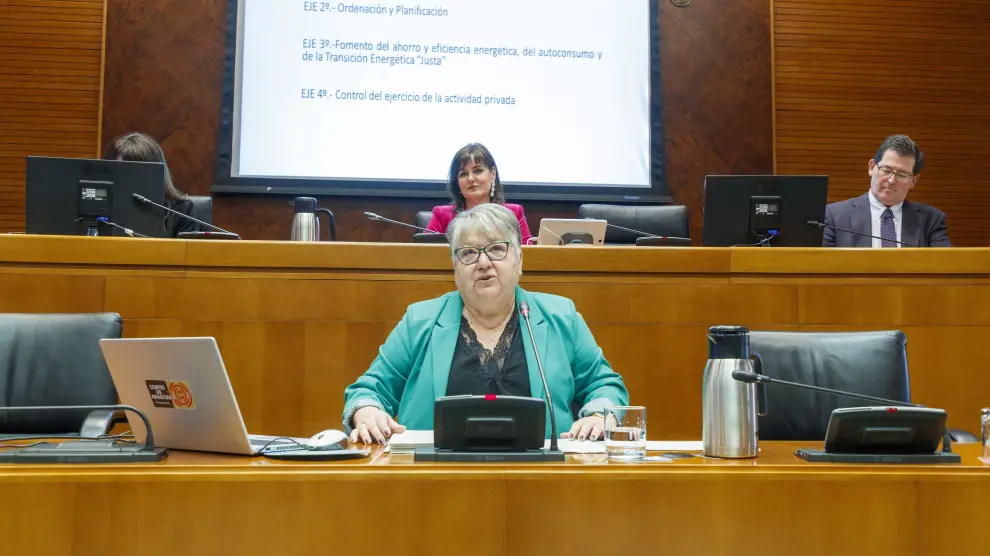 La directora general de Energía y Minas, Yolanda Vallés, en su comparecencia ante las Cortes de Aragón, este lunes.