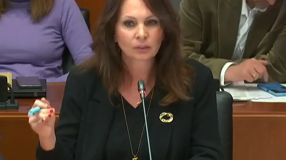 Carnen Herrarte, diputada del PP en las Cortes, durante su intervención en la comisión de Economía.