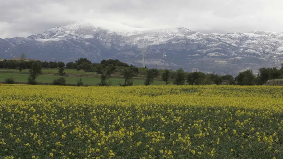 Este es uno de esos lugares de Huesca que no puedes perderte esta primavera
