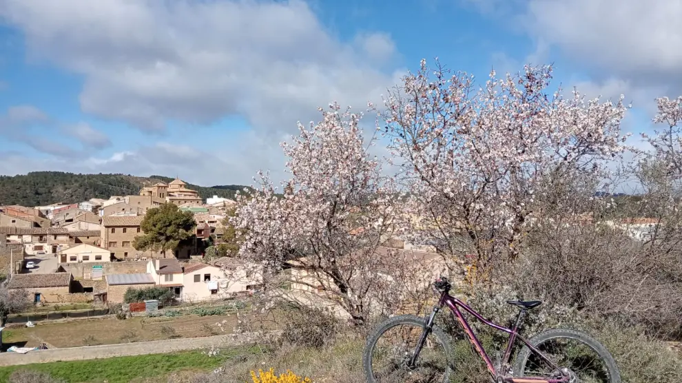 Vista desde la ruta que puede realizarse en bicicleta apara ver los almendros en flor.