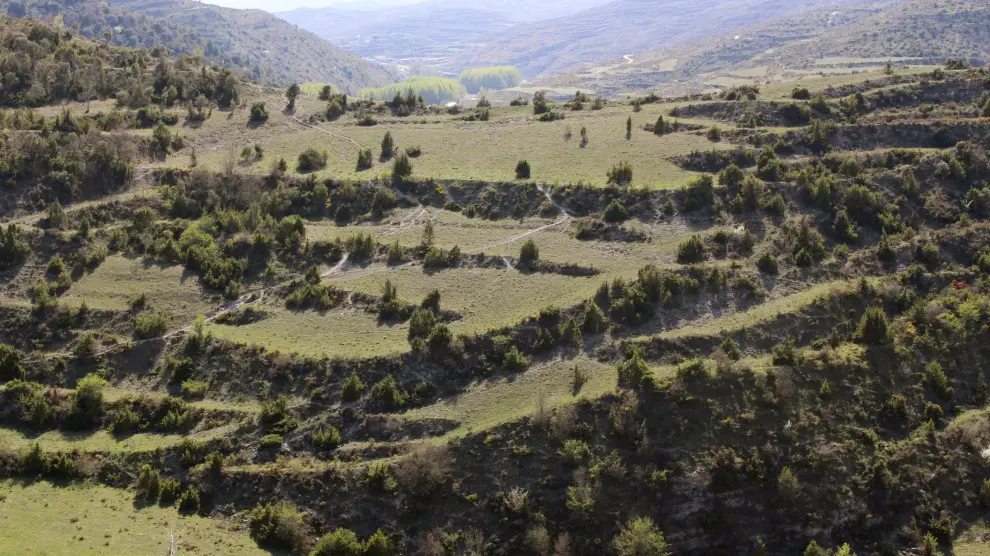 El proyecto analiza cómo la correcta gestión del territorio creando paisajes en mosaico mejora las condiciones ambientales y socioeconómicas de la media montaña.