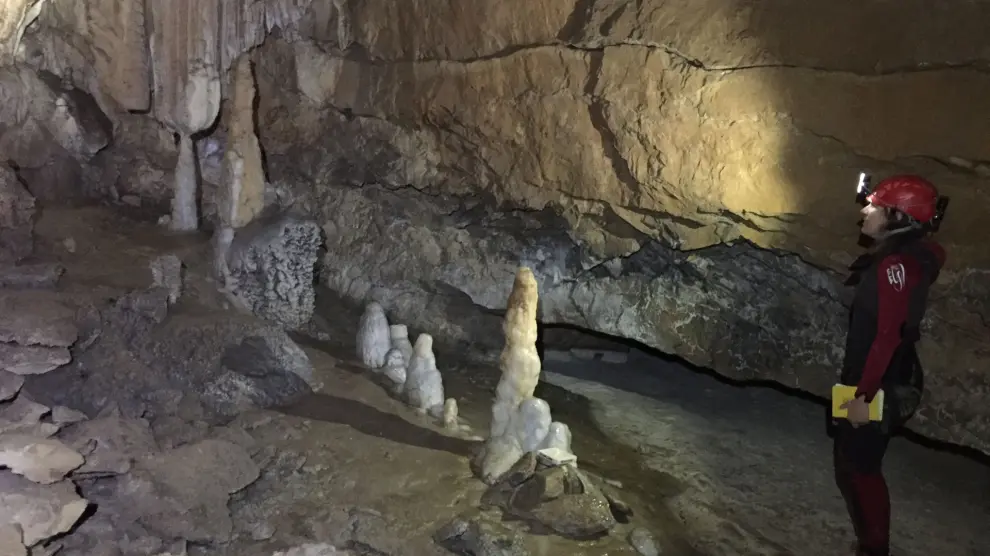 La investigación se ha realizado en cuevas del Sobrarbe.