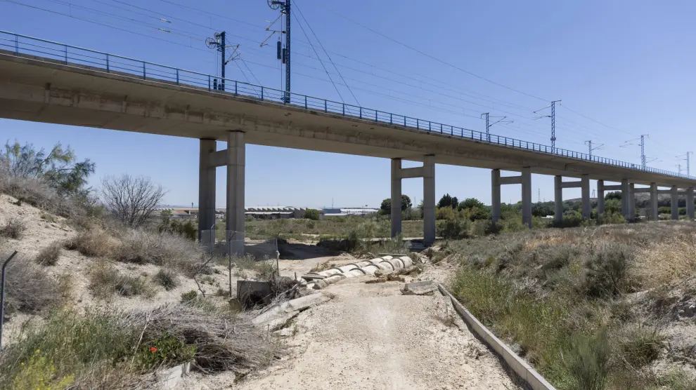 El efecto de las tormentas y las crecidas del Ebro es visible en los caminos naturales.