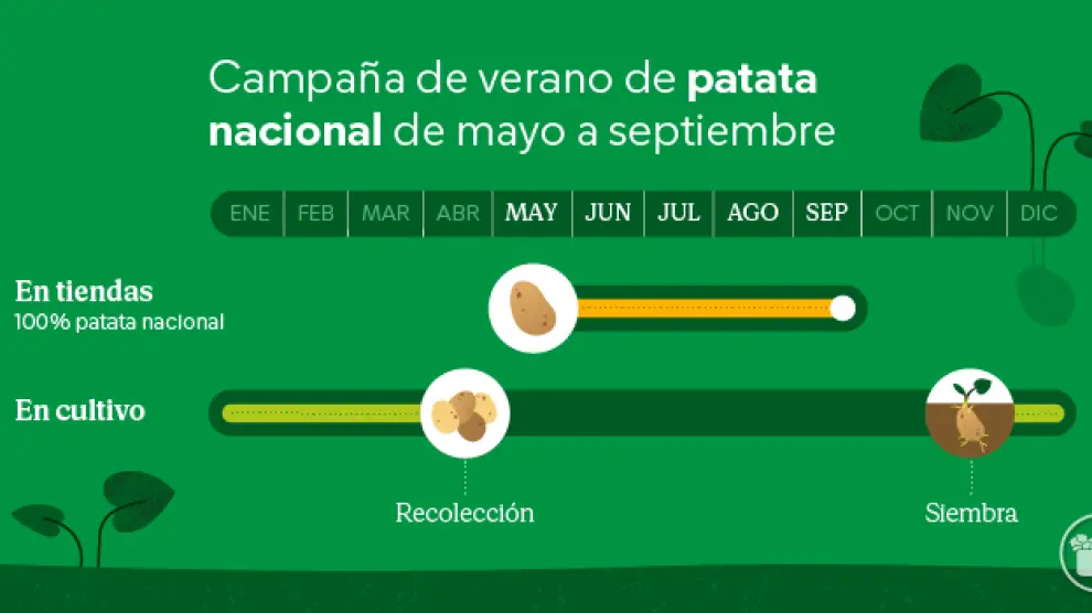 Calendario de patata nacional