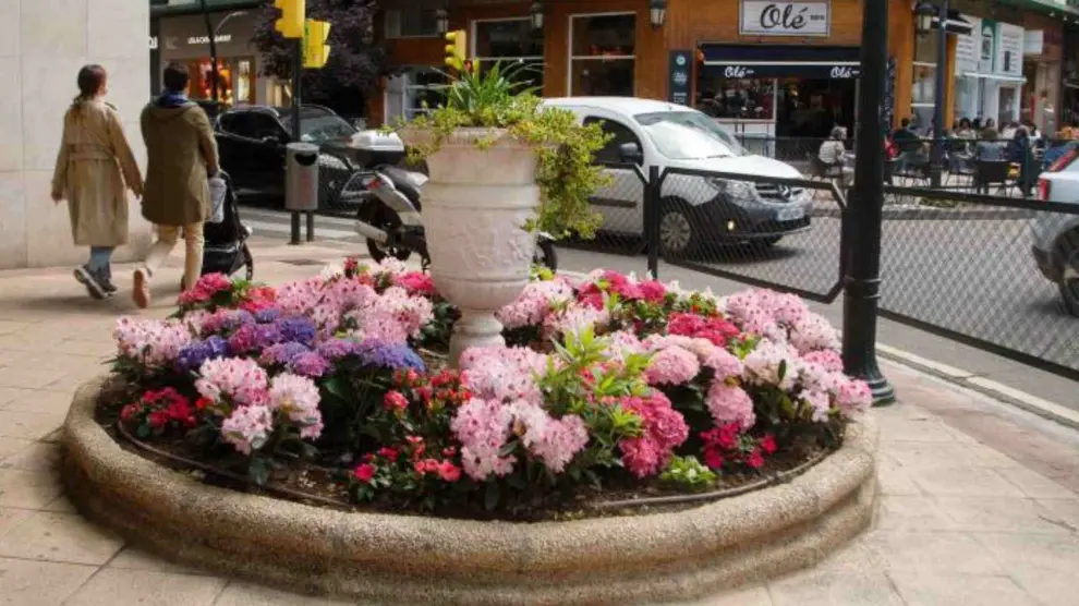 Una de las calles del centro de Zaragoza donde se han plantado nuevas flores