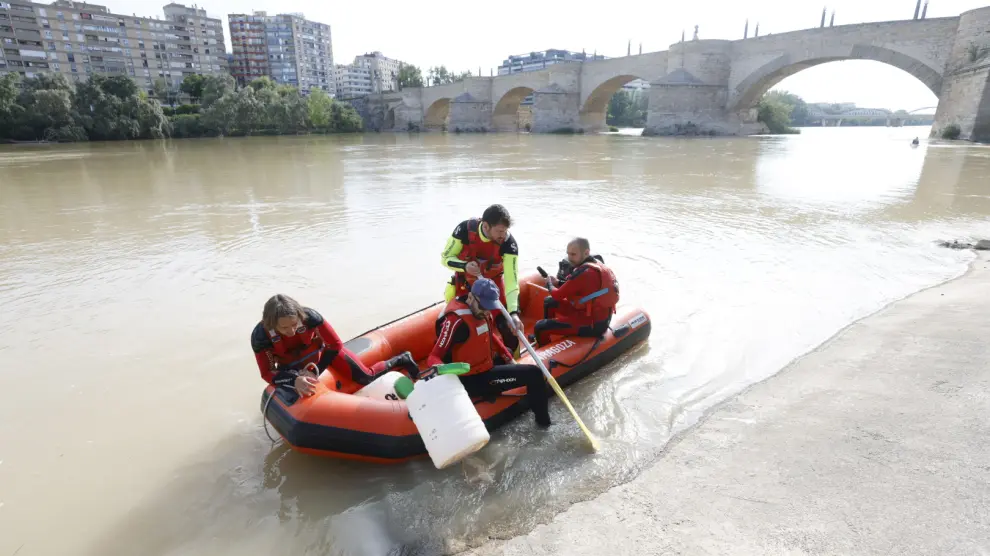 Tratamiento contra la mosca negra en el Ebro.