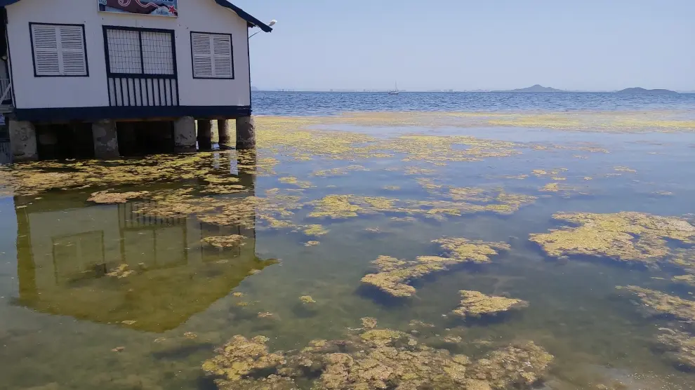 Portmán y el Mar Menor, banderas negras de Ecologistas en Acción