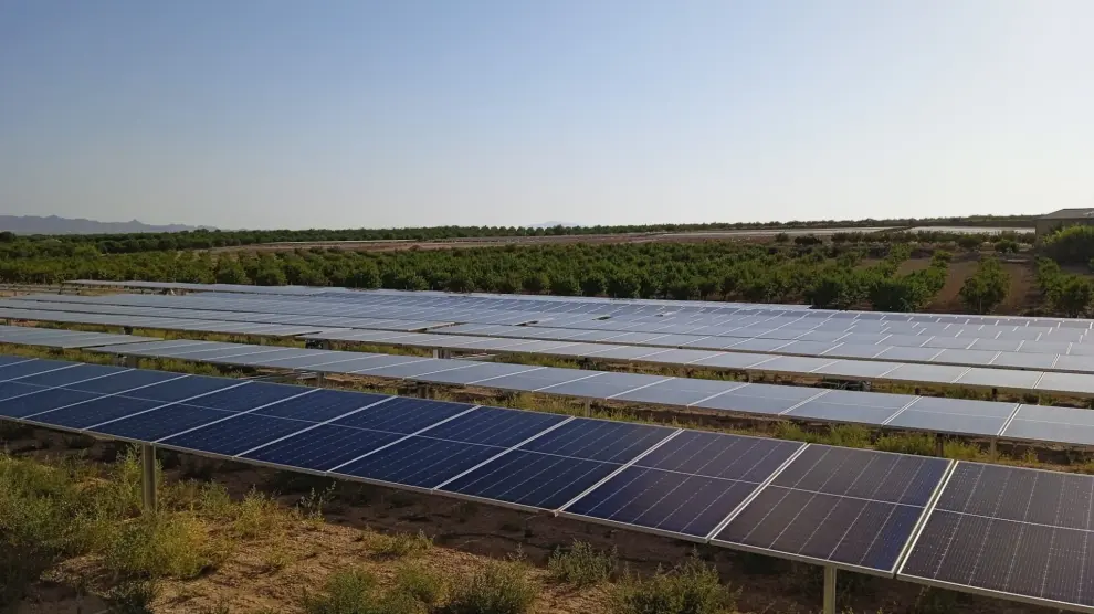 Uno de los parques solares de la empresa Comunidad Solar en Murcia.