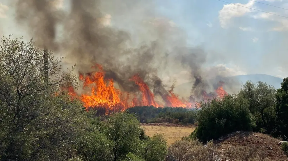 Nafplio (Greece), 21/06/2024.- Fire burns olive trees in a mountainous area of ??the Municipality of Argos, Mycenae, in the area of ??Lyrkeia and Douka, Peloponnese, Greece, 21 June, 2024. Strong forces of the Fire Department from Argos and Nafplio are operating at the scene, while aerial vehicles, the civil protection of the Municipality, water tankers and the police have been called to fight the fire. The Hellenic National Meteorological Service HNMS predicts temperatures of 37 degrees Celsius over the upcoming weekend 22-23 June while there is a growing danger of wildfires in the coastal region. (incendio forestal, Grecia) EFE/EPA/VAGELIS BOUGIOTIS BEST QUALITY AVAILABLE