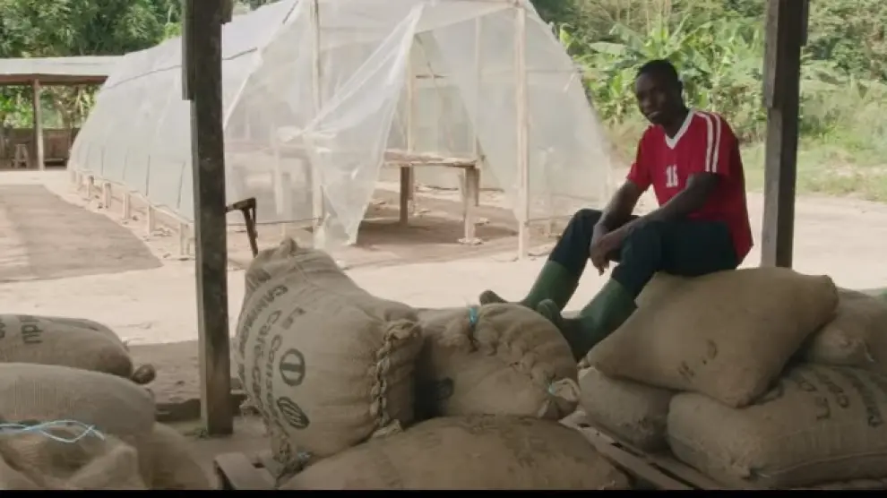 Trabajador de la plantación de cacao de la fundación del grupo Lacasa en Costa de Marfil.
