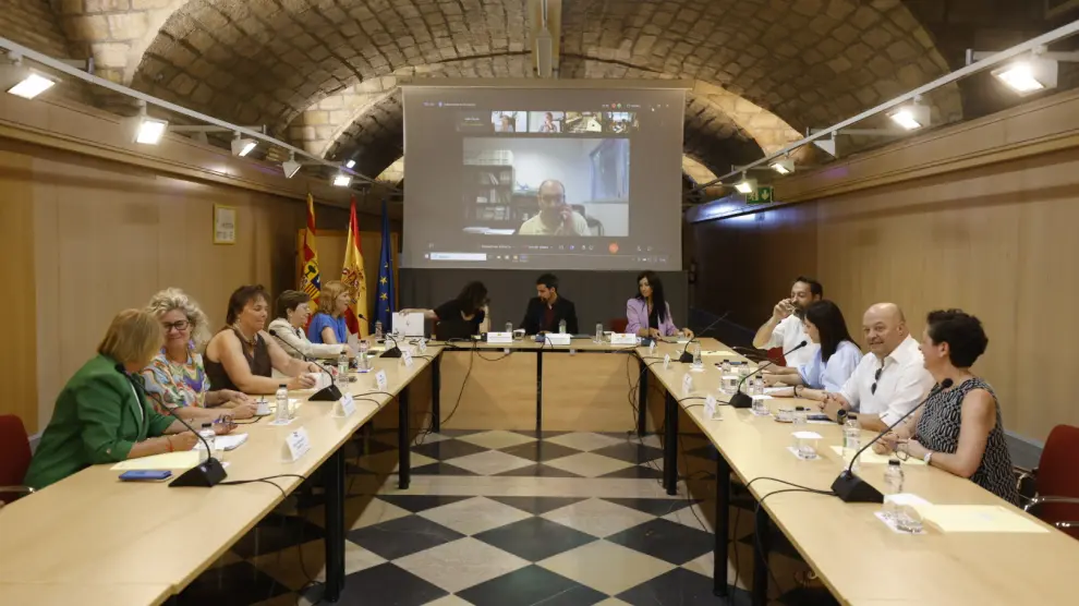 Reunión de la Comisión de Salud Pública del Consejo Interterritorial del Sistema Nacional de Salud, celebrada este jueves en Zaragoza.