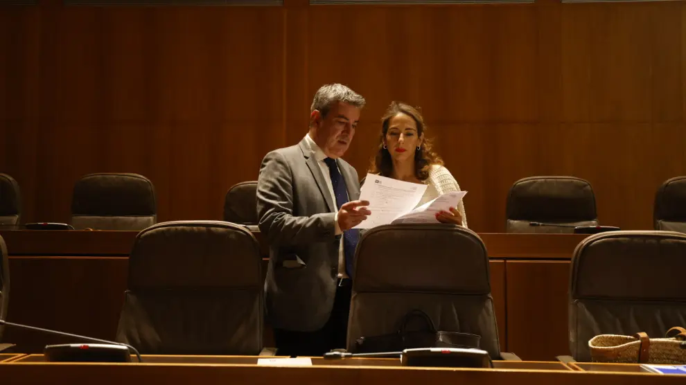 El coordinador de la ponencia de la ley de emergencias, José Antonio Lagüéns, con su compañera del PP María Navarro, antes del pleno que ha aprobado este viernes la norma.