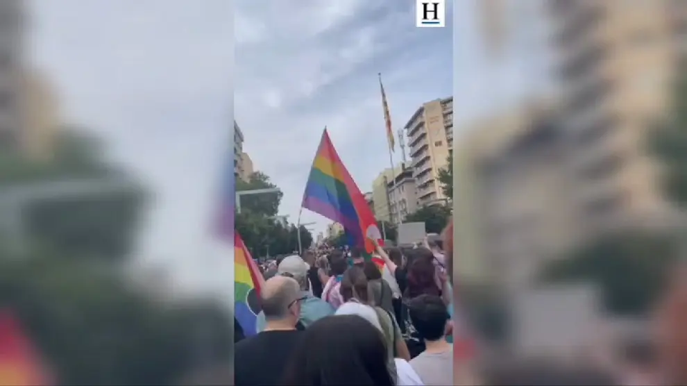 Miles de personas se han manifestado en la capital aragonesa el Día del Orgullo.