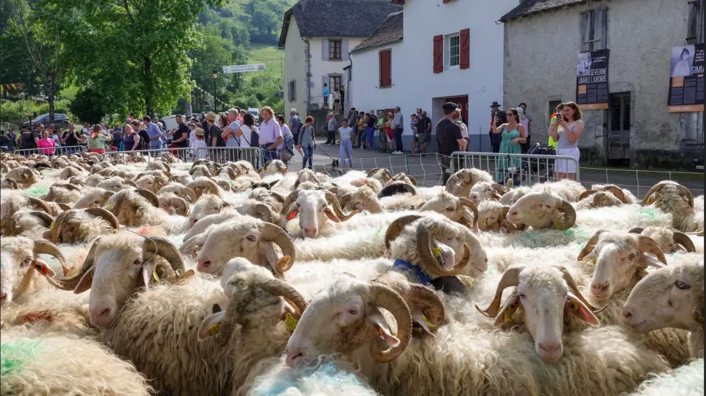Fiesta de la trashumancia de Lourdios-Ichère, que marca el inicio de la temporada migratoria estival.