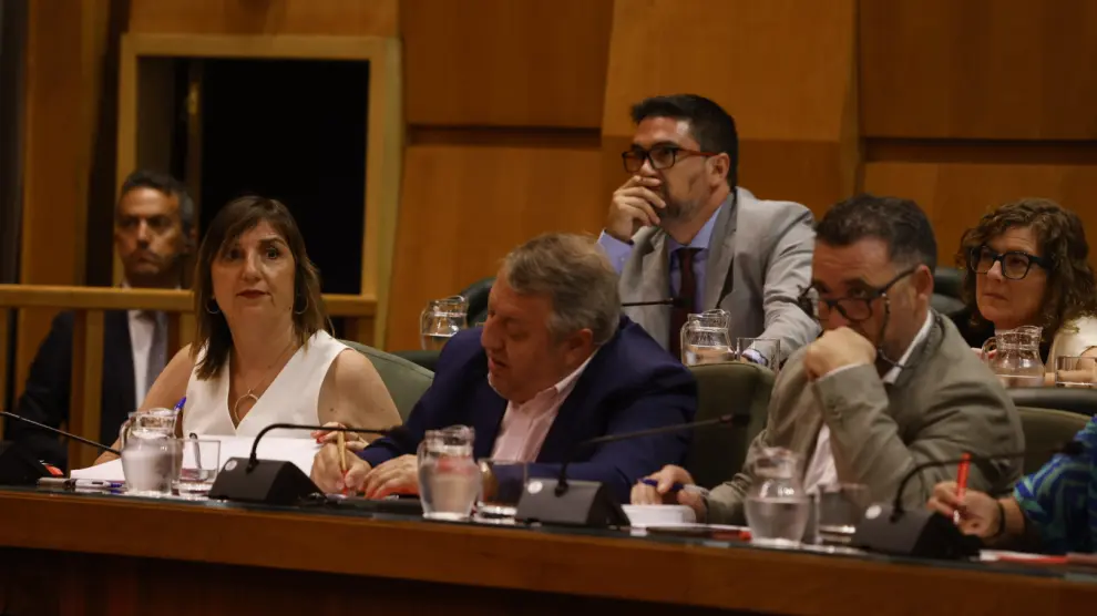 La portavoz del PSOE, Lola Ranera, durante el discurso de la alcaldesa.