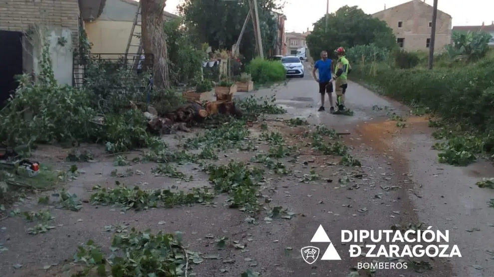 Retirada de árboles y ramas en Borja a causa de las tormentas de este jueves.