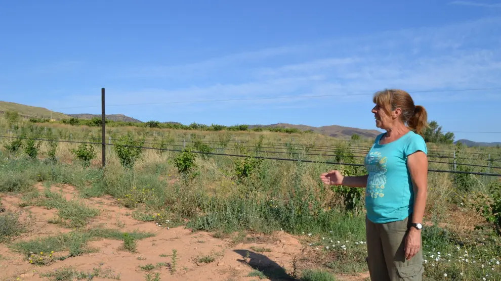 Fina Martínez observa el crecimiento de los ciruelos plantados en mayo del año pasado.