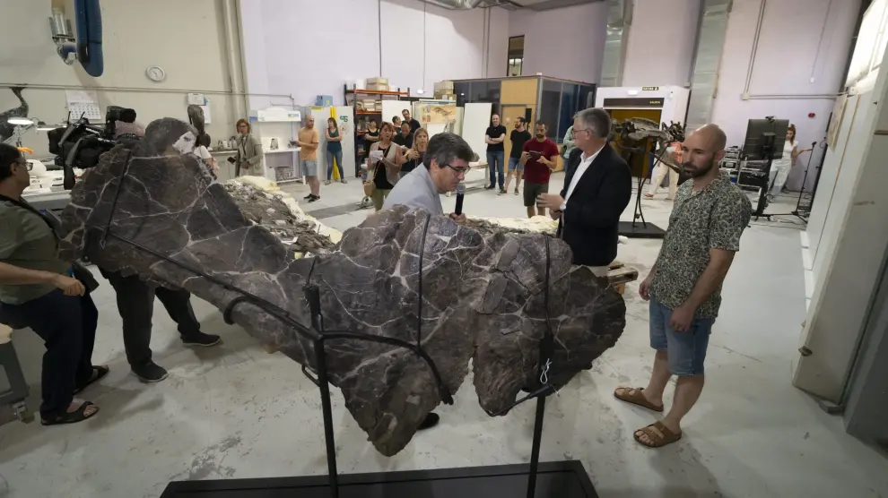 presentación de los nuevos fósiles y últimas investigaciones científicas de la Fundación Dinópolis_2. Foto Antonio Garcia Bykofoto 18 07 24 [[[FOTOGRAFOS]]]