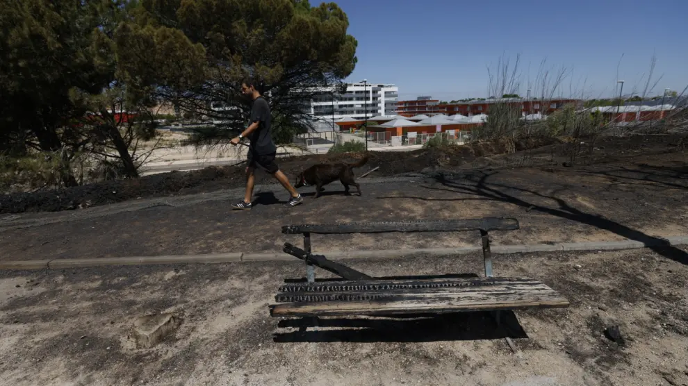 En la madrugada de este domingo se ha quemado un área de vegetal en el barrio de Montecanal de la capital aragonesa.