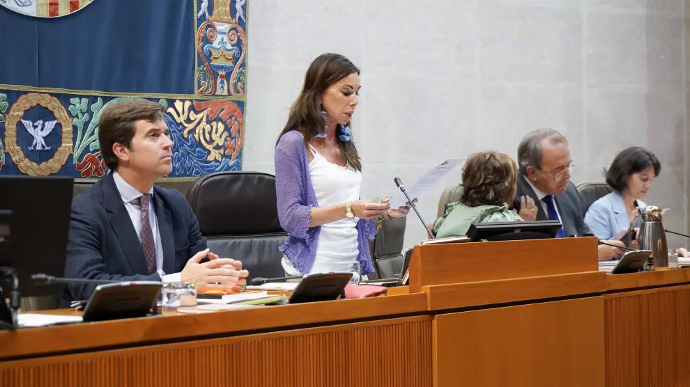 La presidenta, Marta Fernández, ha leído al inicio de la sesión plenaria una declaración institucional.