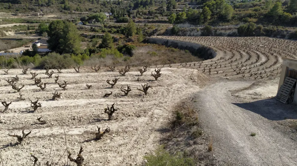 El campo aragonés lleva ya sufriendo dos años de sequía.