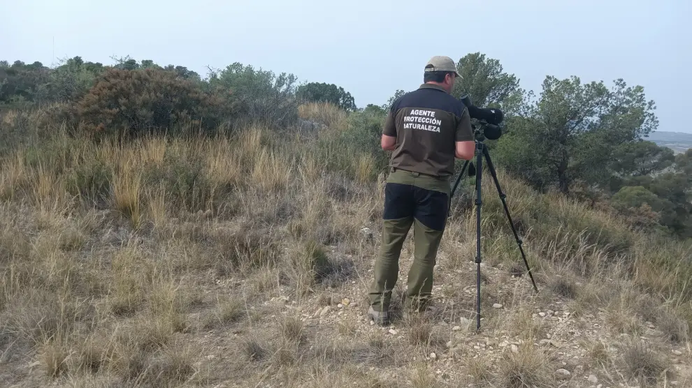 Ramón Regal, agente forestal