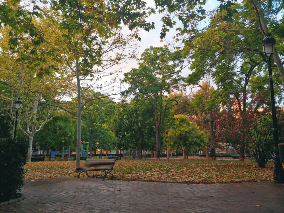 Una imagen de la plaza de Los Sitios, llena de hojas caídas, este martes.
