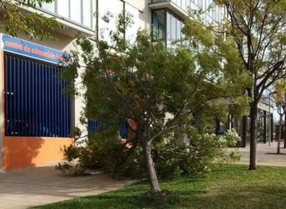 Cae un árbol junto a una escuela infantil en Valdespartera.