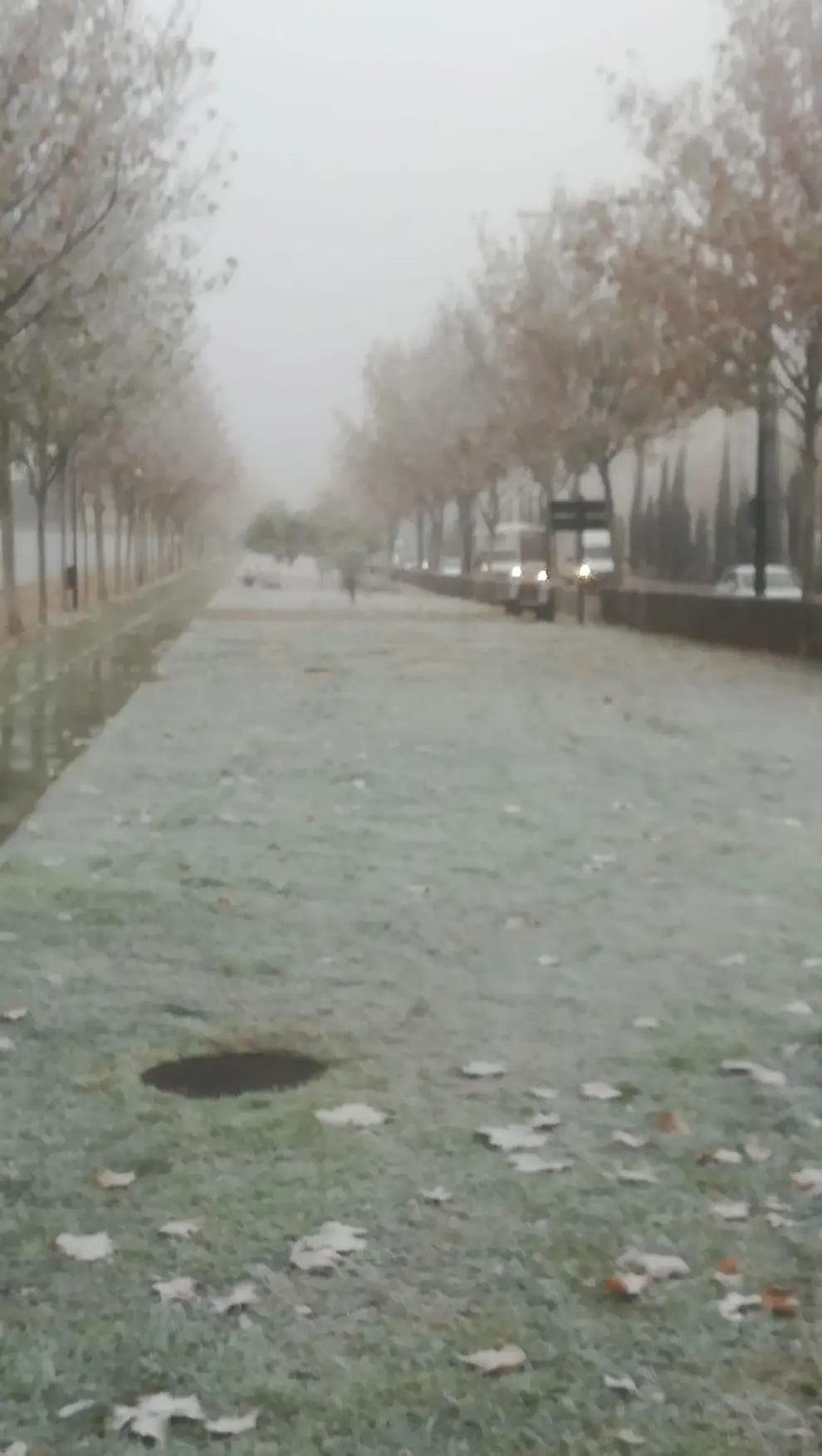 Niebla engelante en Zaragoza este martes.
