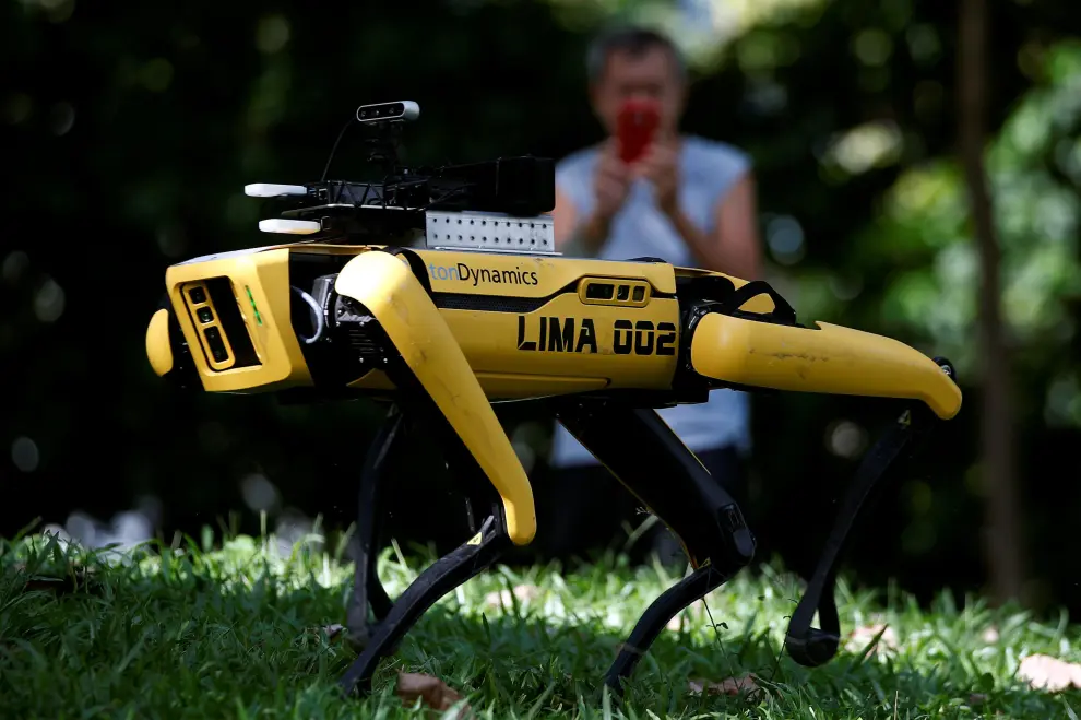 A four-legged robot dog called SPOT patrols a park as it undergoes testing to be deployed as a safe distancing ambassador, following the coronavirus disease (COVID-19) outbreak, in Singapore May 8, 2020. REUTERS/Edgar Su [[[REUTERS VOCENTO]]] HEALTH-CORONAVIRUS/SINGAPORE-ROBOT