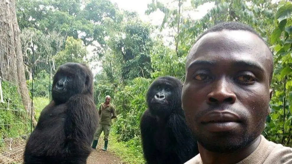 uardia forestal en el Parque Nacional de Virunga, en la República Democrática del Congo