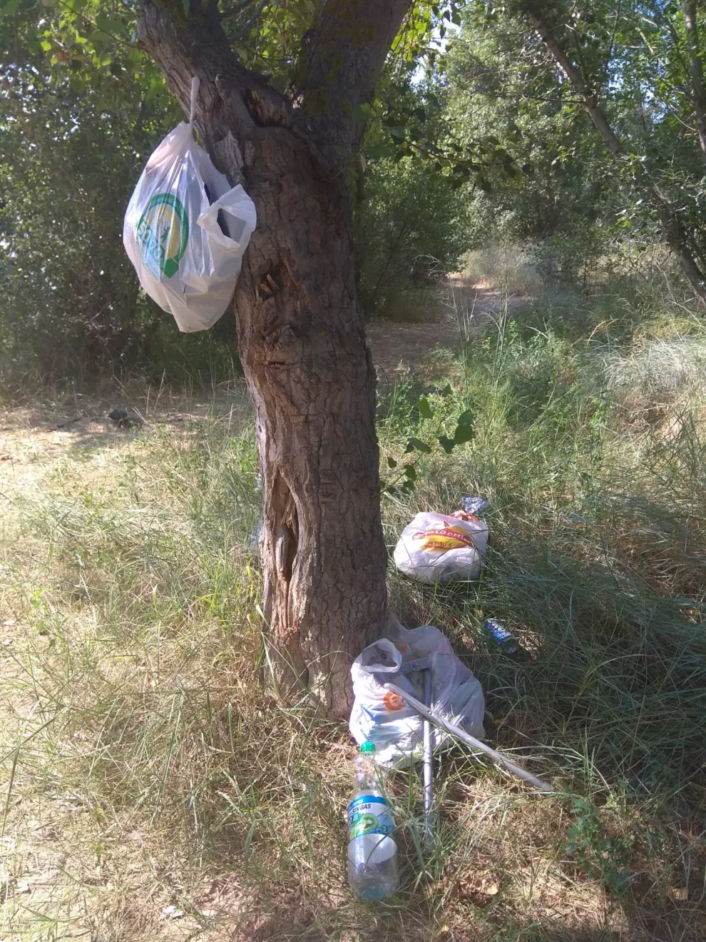 Latas, botellas, envases e incluso sillas rotas pueblan los márgenes del río entre los barrios rurales de Montañana y San Juan de Mozarrifar.