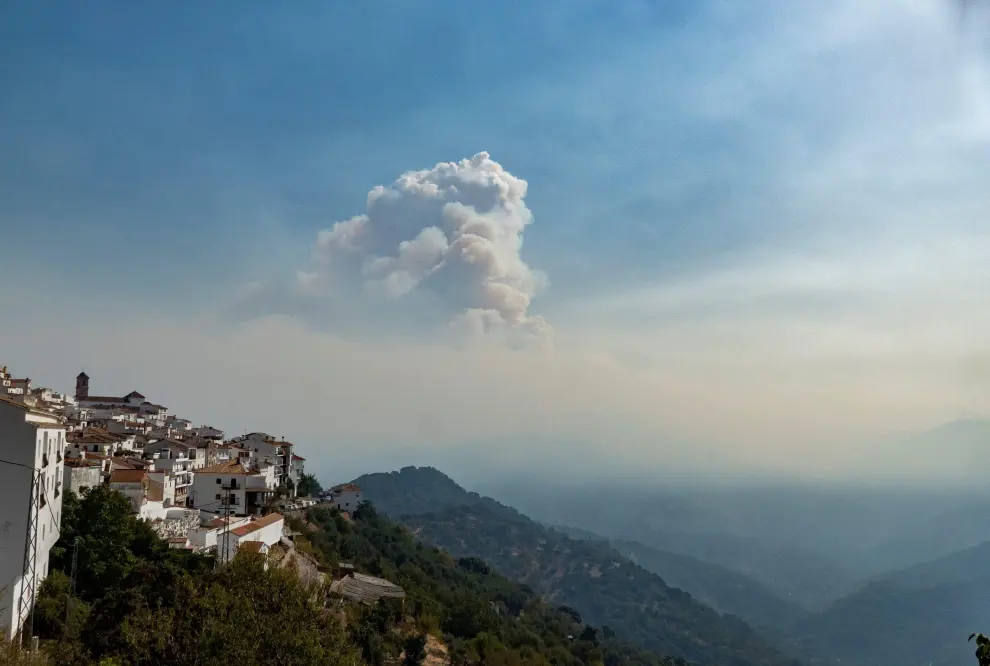 Los vecinos de seis pueblos de la malagueña Sierra Bermeja han tenido que abandonar sus hogares por el fuego. Se trata del incendio más importante registrado este verano en España.