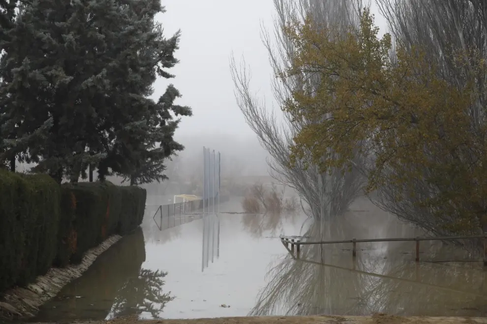Imágenes de la crecida del Ebro, este lunes, en Novillas, Pradilla, Boquiñeni y Luceni.