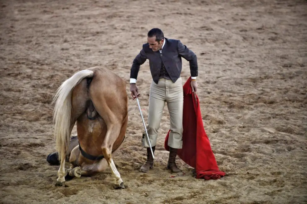 Exhibición ecuestre en la plaza de toros de Orihuela del Tremedal (Teruel).