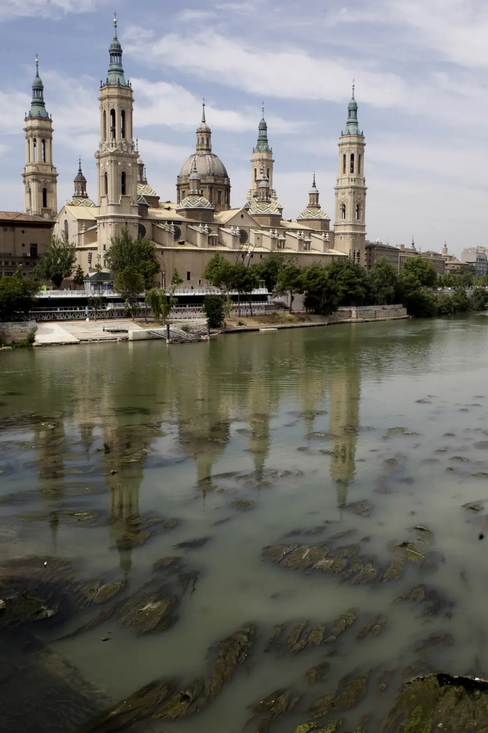 Las algas se dejan ver en el Ebro
