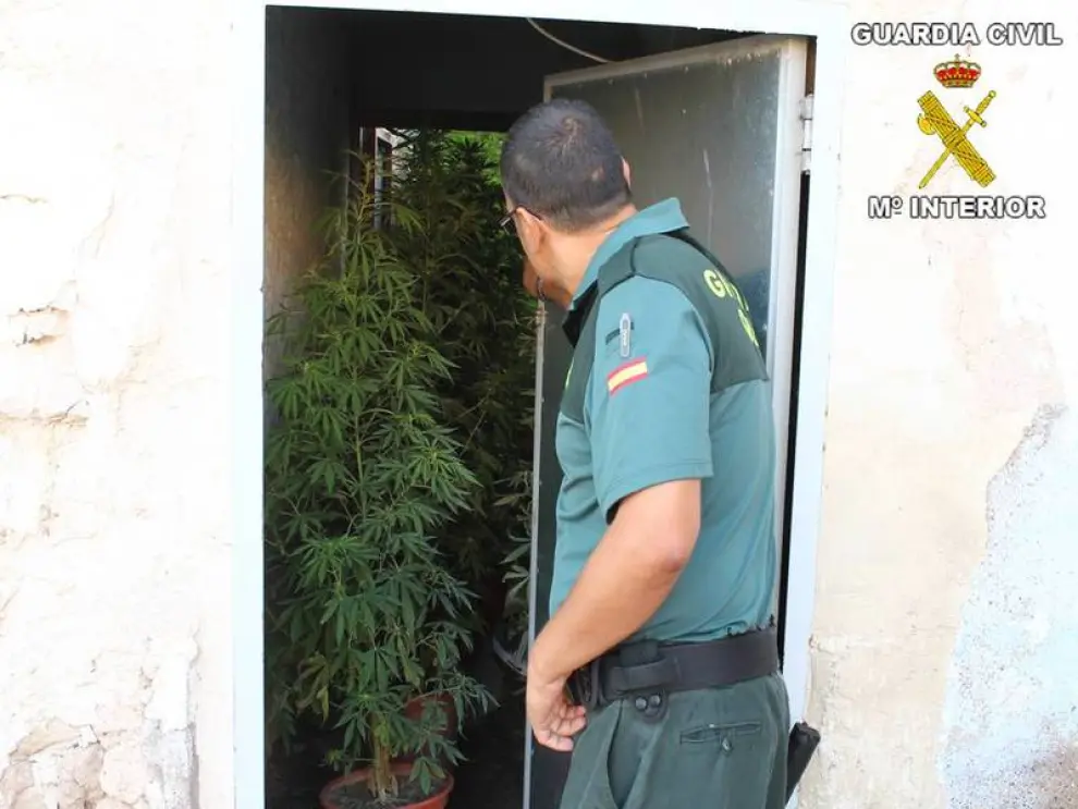 El tercer teniente de alcalde de Épila, Carlos Sariñena, y otros dos vecinos del municipio de origen chino fueron detenidos este viernes por tráfico de drogas.