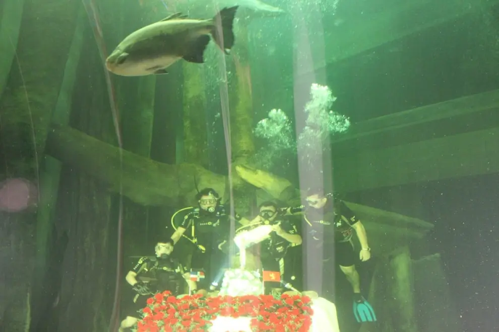 Ofrenda subacuática en el Acuario de Zaragoza a la Virgen del Pilar