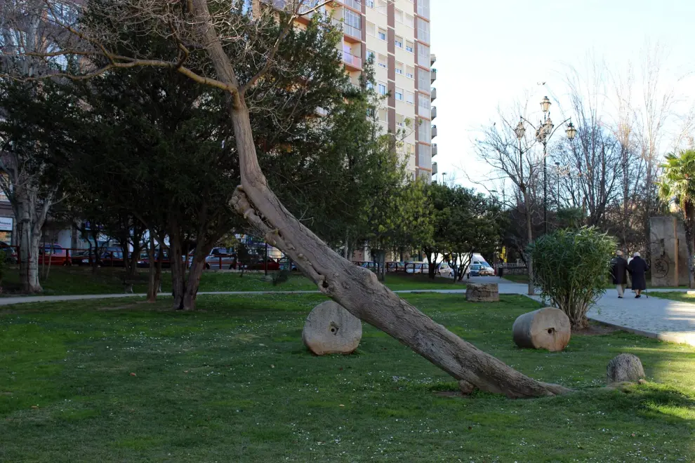 Árboles enfermos en el parque Bruil de Zaragoza
