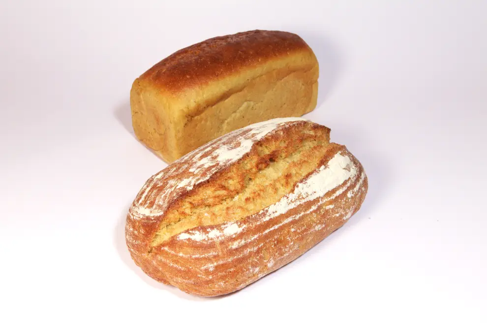 Tritordeum: un nuevo pan