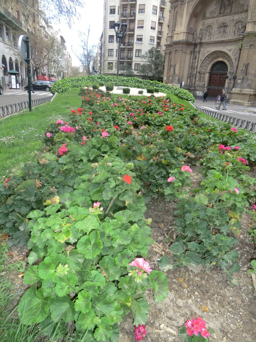 ¿Dónde están las flores más bonitas de Zaragoza?