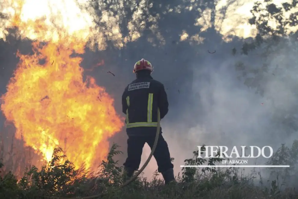 Incendio forestal en Albalate. Un bombero de la comarca del Cinca Medio ataca las llamas cerca de Albalate de Cinca el 15 de mayo.