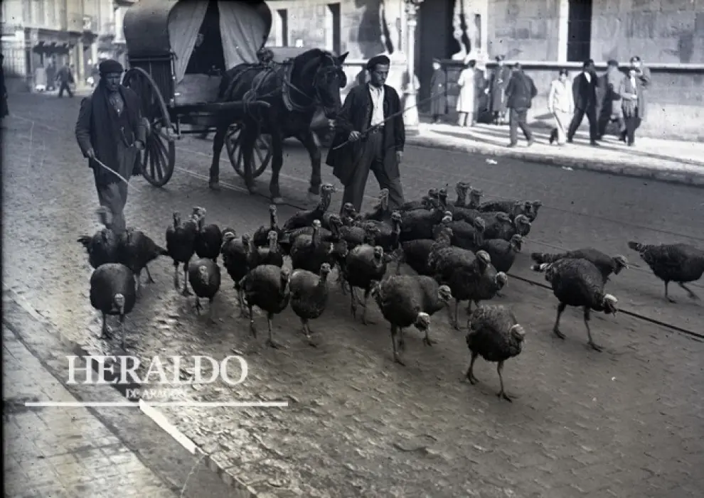 Vendedores de pavos para Navidad pasando por el coso de Zaragoza, frente a la Audiencia Provincial, en los años 30. El Coso era camino obligado para los paveros cuando se acercaba la Navidad.