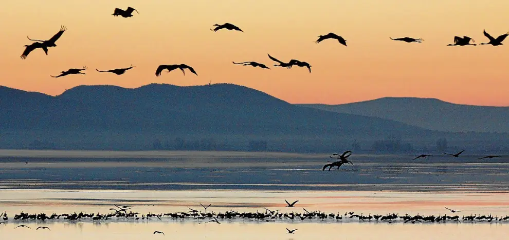 Una vista panorámica de la laguna de Gallocanta, con cientos de grullas, al amanecer. Javier Mañas