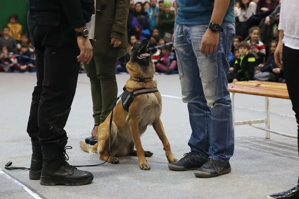 Exhibición de policía canina en Zaragoza