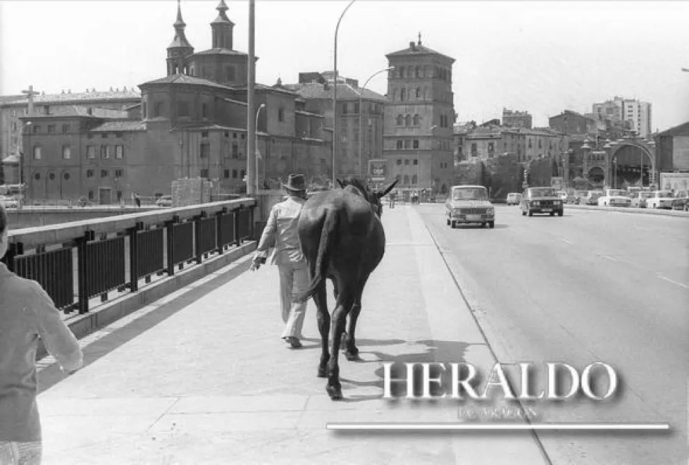 El 13 de marzo de 1967 se inauguró el puente de Santiago en Zaragoza. La imagen que acompaña a este texto es de la década de los setenta